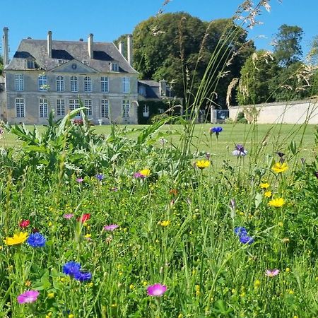 Chambres D'Hotes Chateau De Martragny Esterno foto
