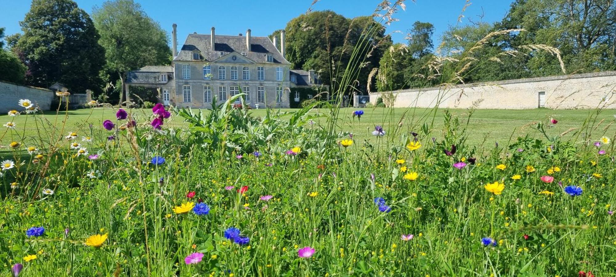 Chambres D'Hotes Chateau De Martragny Esterno foto