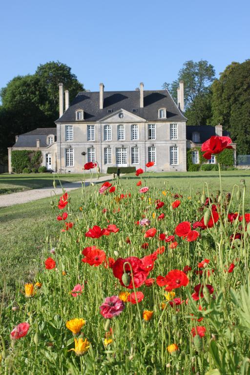Chambres D'Hotes Chateau De Martragny Esterno foto